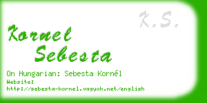 kornel sebesta business card